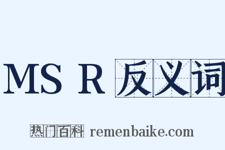 MSR反义词是什么意思的图片